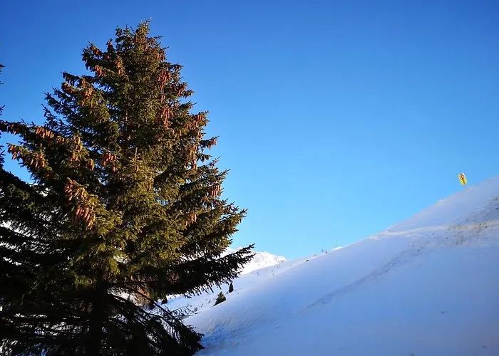 Curtinfess Rezzonico Bivio