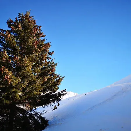 Curtinfess Rezzonico Bivio